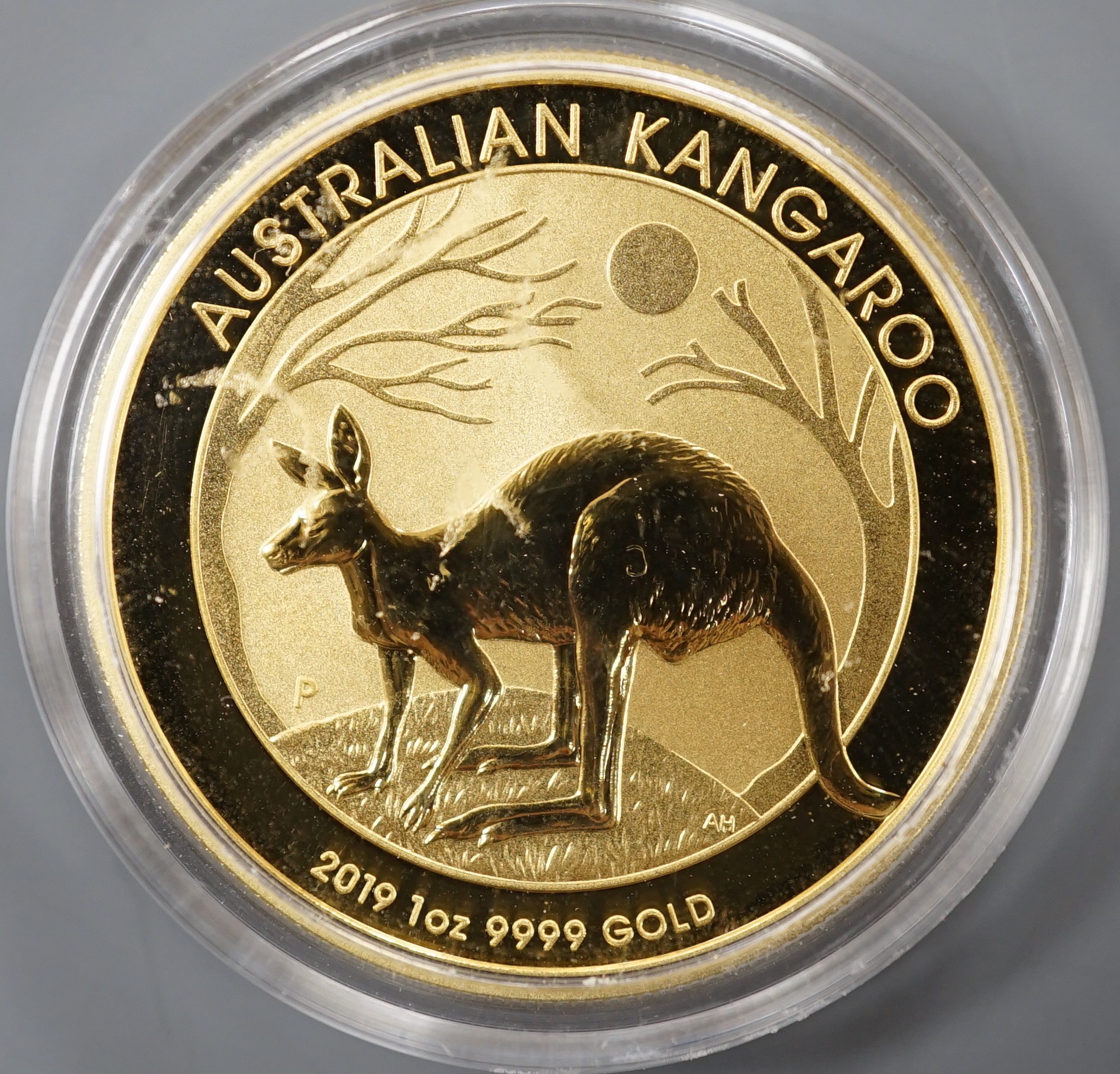 A QEII 2019 1oz gold Australia Kangaroo $100 coin.